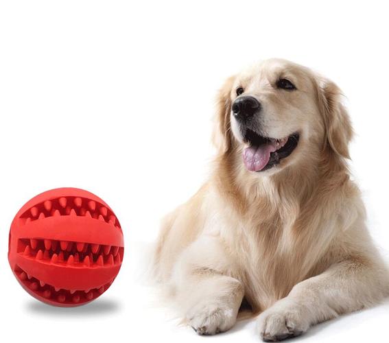  כדור צעצוע דנטאלי משחק כיפי לכלבים השומר על נקיון ובריאות ש...